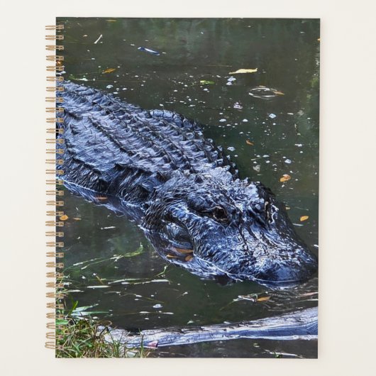 Schaduw in het ondiepe water planner (Voorkant)