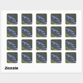 Schaduw in het ondiepe water vierkante sticker (Vel)