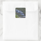 Schaduw in het ondiepe water vierkante sticker (Tas)