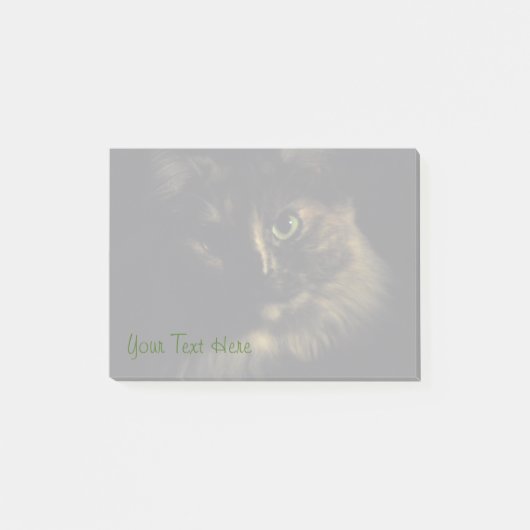 Schaduw Kat Kunst Fotografie Groene Ogen Kitty Post-it® Notes (Voorkant)