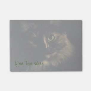 Schaduw Kat Kunst Fotografie Groene Ogen Kitty Post-it® Notes