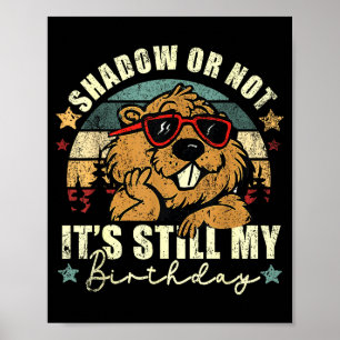 Schaduw of niet, het is nog steeds mijn verjaardag poster