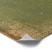 Schaduw op de muur, Helene Schjerfbeck Poster (Hoek)