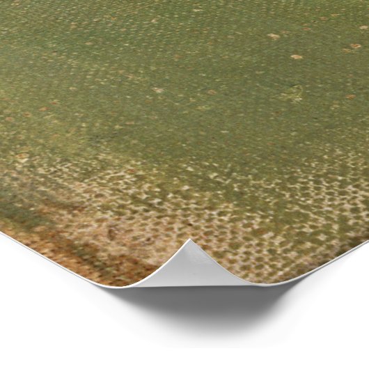 Schaduw op de muur, Helene Schjerfbeck Poster (Hoek)