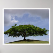 schaduw poster (Voorkant)