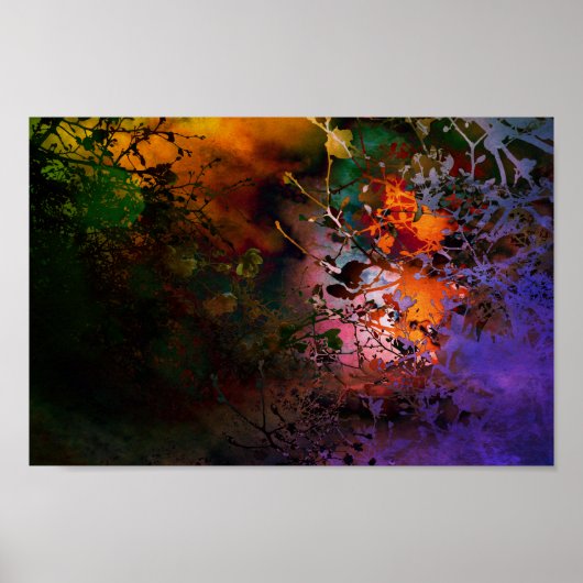 schaduw van de bloemen poster (Voorkant)