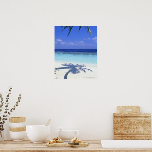 Schaduw van de palmboom poster (Keuken)