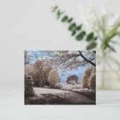 Schaduw van de tuin briefkaart (Staand voorkant)