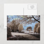 Schaduw van de tuin briefkaart (Voorkant / Achterkant)