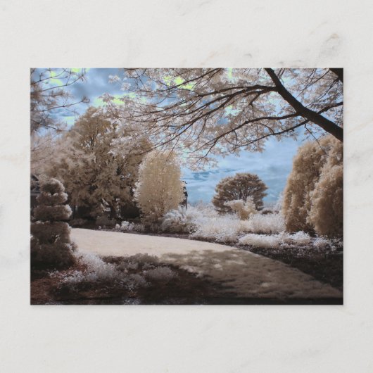 Schaduw van de tuin briefkaart (Voorkant)