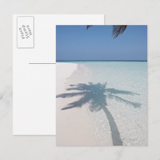 Schaduw van een palmboom op een verlaten eilandstr briefkaart (Voorkant / Achterkant)