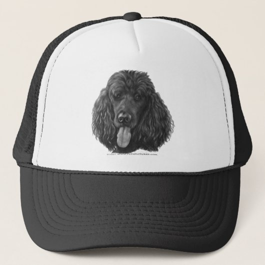 Schaduw, zwart standaardportaal trucker pet (Voorkant)