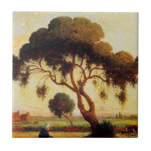 Schaduwboom Tegeltje (Voorkant)