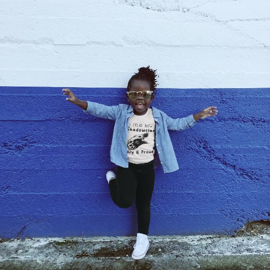 schaduwClan Pride-krijgers katten minnaar T-shirt