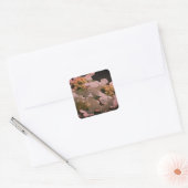 Schaduwen en lichte Lacecap Hydrangea Vierkante Sticker (Envelop)