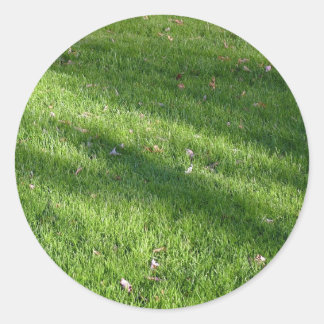 Schaduwen in het gras ronde sticker