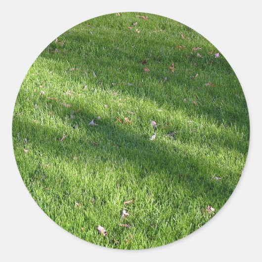 Schaduwen in het gras ronde sticker (Voorkant)