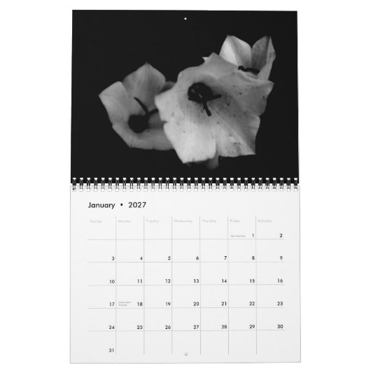 Schaduwen Kalender (Jan 2027)