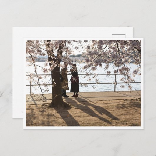 "Schaduwen onder de kersenboom"-briefkaart Briefkaart (Voorkant / Achterkant)