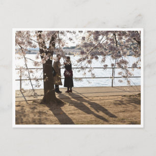 "Schaduwen onder de kersenboom"-briefkaart Briefkaart