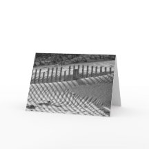 Schaduwen op het Duin