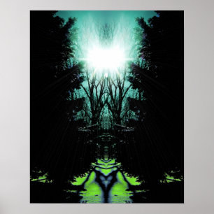 Schaduwen Poster