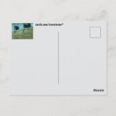 Schaduwen Postkaart (Achterkant)
