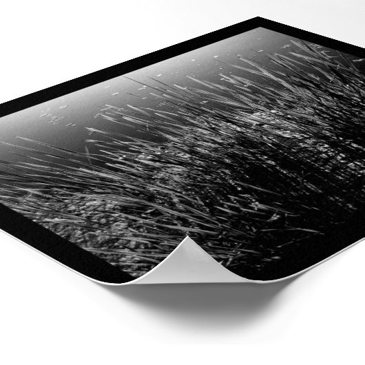 Schaduwen snijden poster (Hoek)