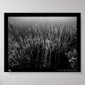 Schaduwen snijden poster (Voorkant)