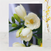 Schaduwen van geel op witte fresia kaart (Gele Bloem)