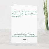 Schaduwen van Groen Kaart (Achterkant)