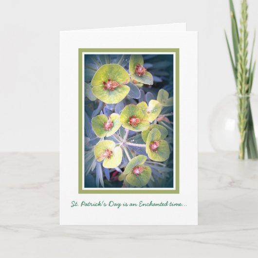 Schaduwen van Groen Kaart (Voorkant)