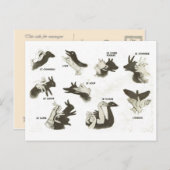 , schaduwpoppen, ombres chinoises briefkaart (Voorkant / Achterkant)