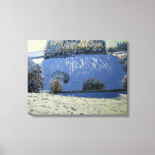 Schaduwveld bij Youlgrave Derbyshire Canvas Afdruk