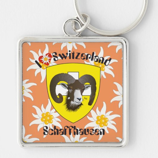Schaffhausen Schweiz Schlüsselanhänger Sleutelhanger (Voorkant)