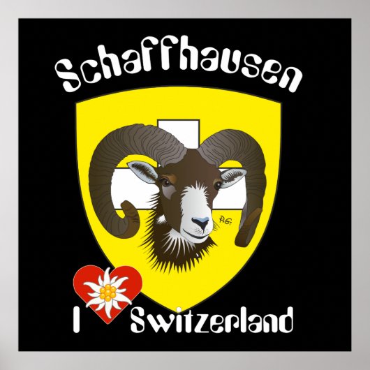 Schaffhausen - Schweiz - Suisse - Poster Svizzera (Voorkant)