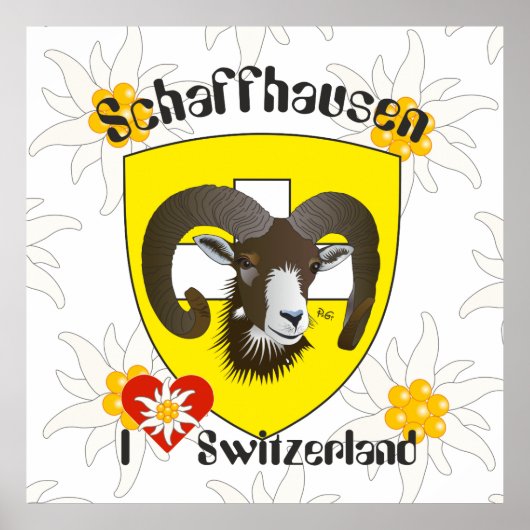 Schaffhausen - Schweiz - Suisse - Poster Svizzera (Voorkant)