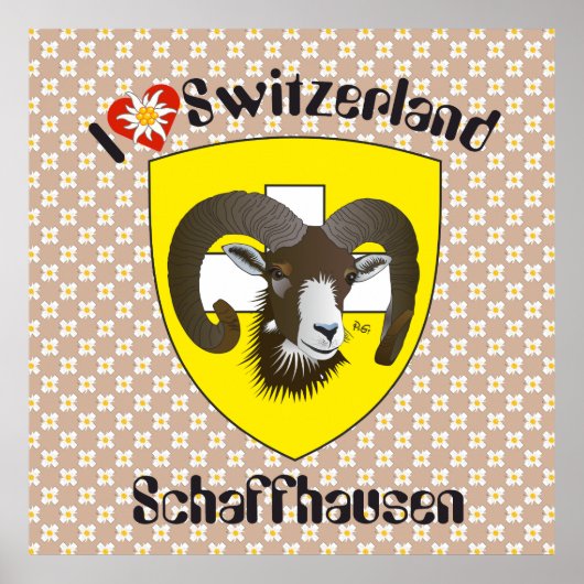 Schaffhausen - Schweiz - Suisse - Poster Svizzera (Voorkant)