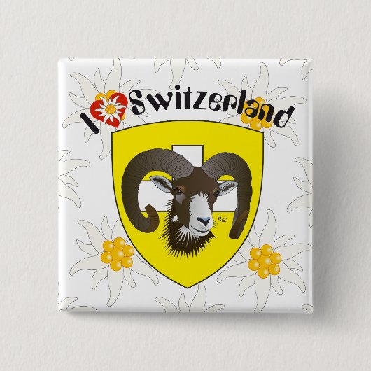 Schaffhausen - Schweiz - Suisse - Svizzera - Butto Vierkante Button 5,1 Cm (Voorkant)