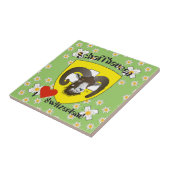 Schaffhausen - Schweiz - Suisse - Svizzera Fliese Tegeltje (Zijkant)