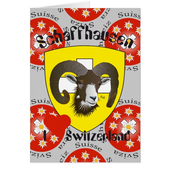Schaffhausen Schweiz Suisse Svizzera Grusskarte (Voorkant)