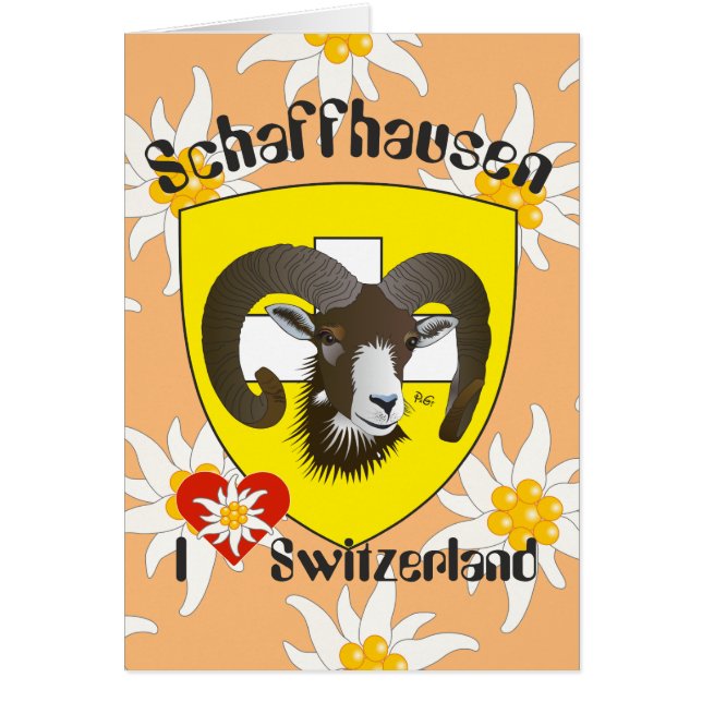 Schaffhausen Schweiz Suisse Svizzera Grusskarte (Voorkant)