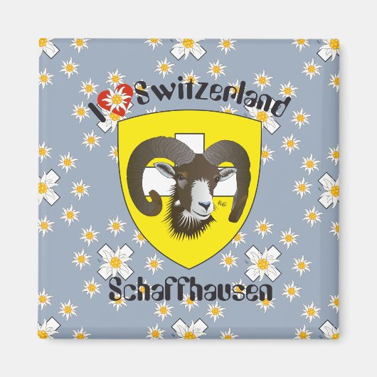 Schaffhausen - Schweiz - Suisse - Svizzera Magnet (Voorkant)
