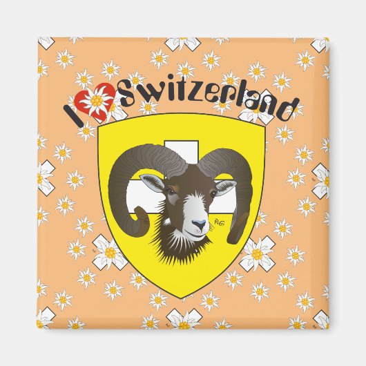 Schaffhausen - Schweiz - Suisse - Svizzera Magnet (Voorkant)
