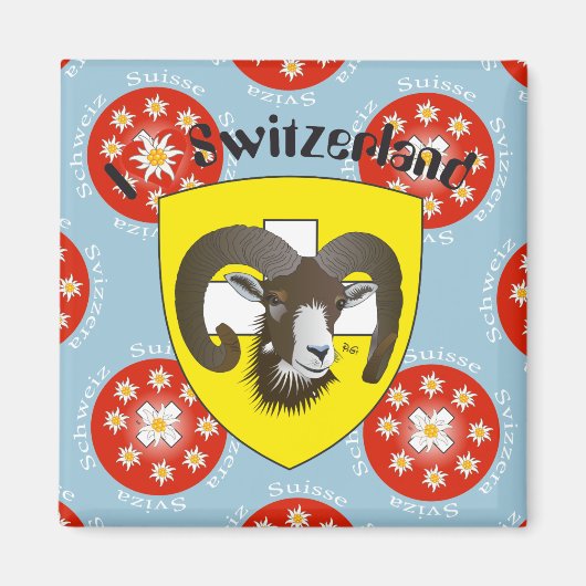 Schaffhausen - Schweiz - Suisse - Svizzera Magnet (Voorkant)