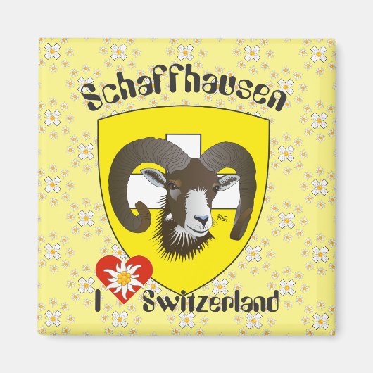 Schaffhausen - Schweiz - Suisse - Svizzera Magnet (Voorkant)