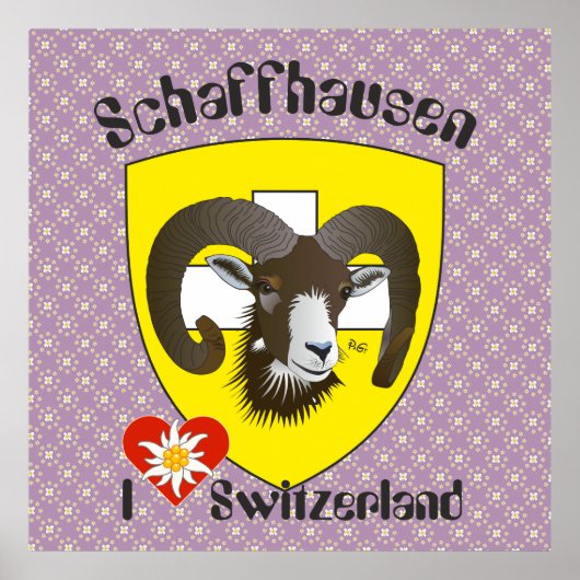 Schaffhausen - Schweiz - Suisse - Svizzera Poster (Voorkant)