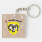 Schaffhausen - Schweiz - Suisse - Svizzera Sleutelhanger (Achterkant)