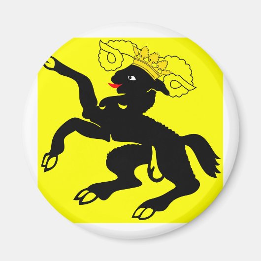 Schaffhausen, Zwitserland Magneet (Voorkant)