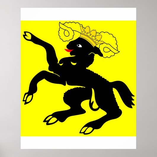 Schaffhausen, Zwitserland Poster (Voorkant)